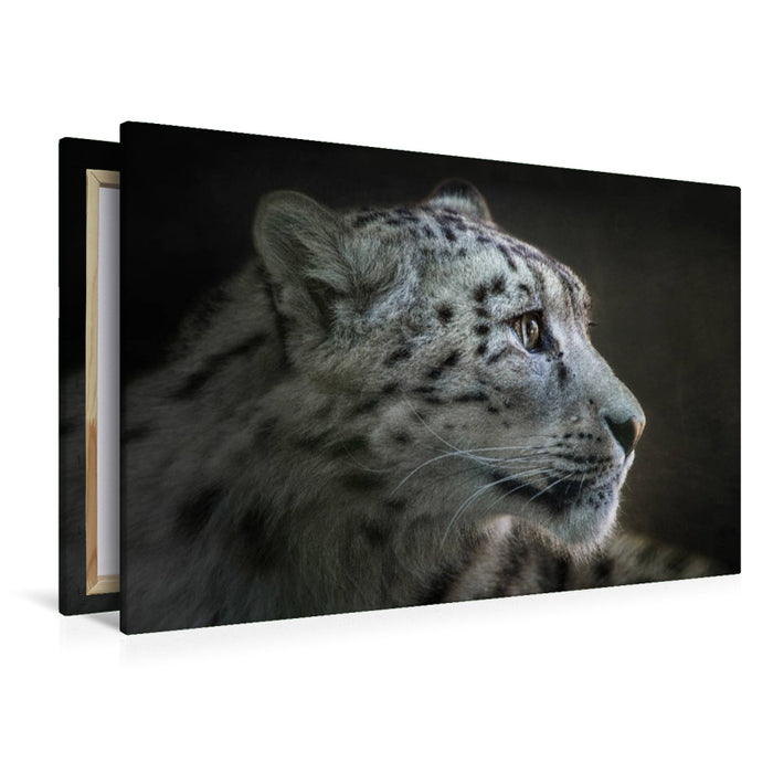 Premium Textil-Leinwand Schneeleopard