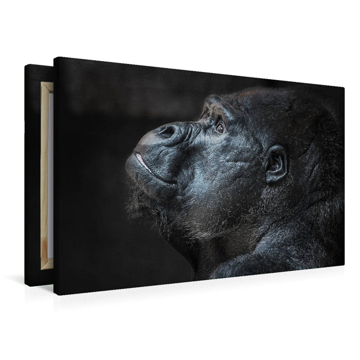 Premium Textil-Leinwand Gorilla