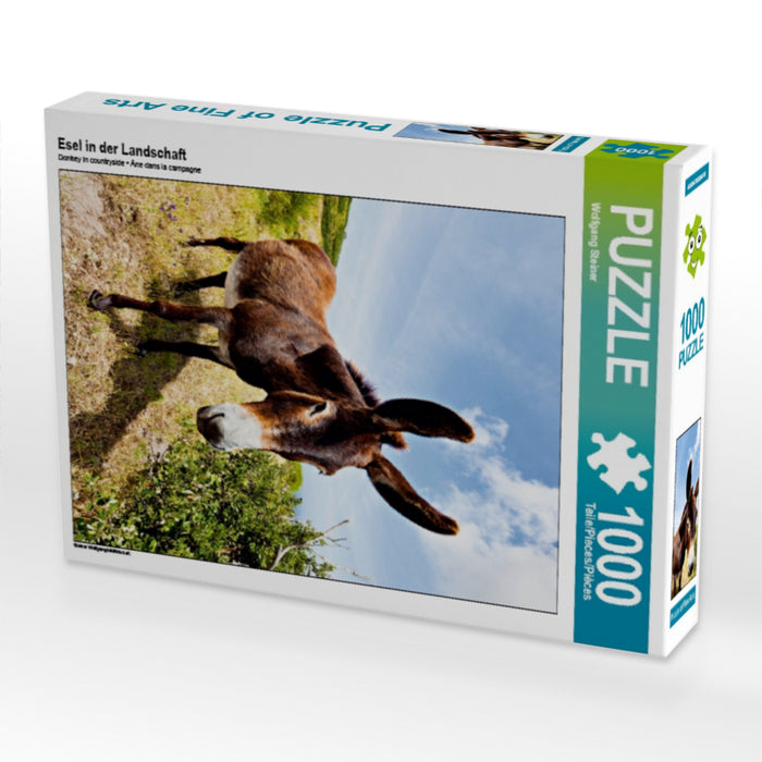 Esel in der Landschaft 1000 Teile Puzzle hoch - CALVENDO Foto-Puzzle'