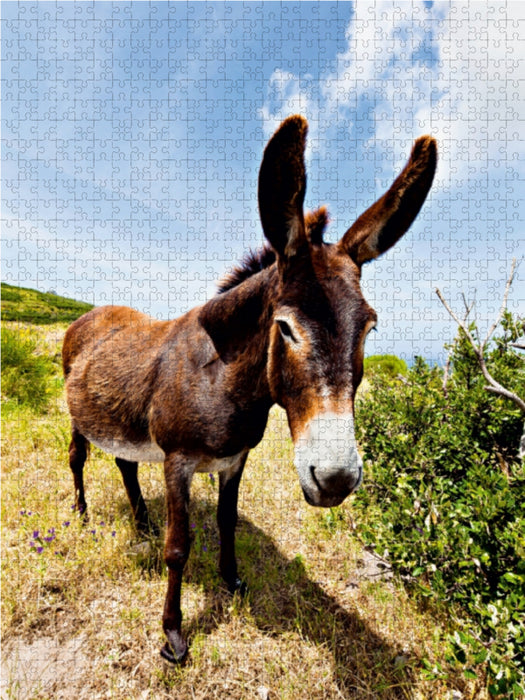 Esel in der Landschaft 1000 Teile Puzzle hoch - CALVENDO Foto-Puzzle'