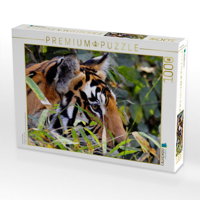 Lauernder Tiger - CALVENDO Foto-Puzzle'