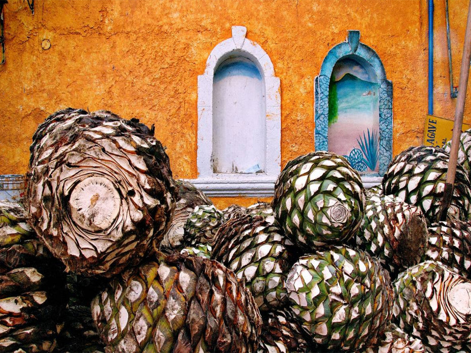 Tequila - CALVENDO Foto-Puzzle'