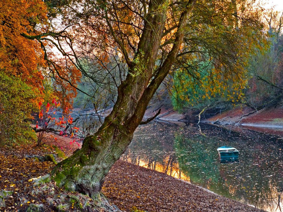 Ein Motiv aus dem Kalender Mannheimer Waldpark - CALVENDO Foto-Puzzle'