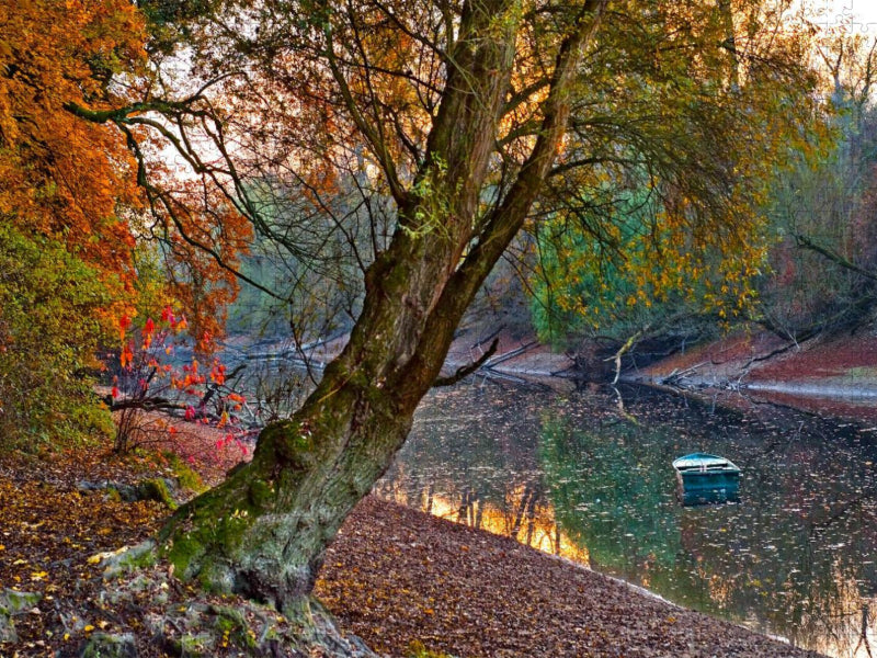 Ein Motiv aus dem Kalender Mannheimer Waldpark - CALVENDO Foto-Puzzle'