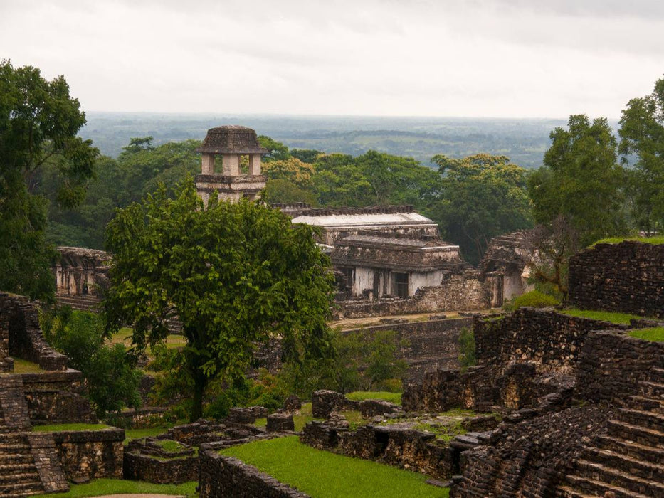 Palenque, Tempel im Regenwald - CALVENDO Foto-Puzzle'