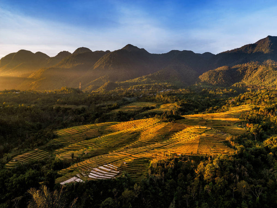 Spinnnenetz Reisfelder auf der Insel Flores in Indonesien - CALVENDO Foto-Puzzle'