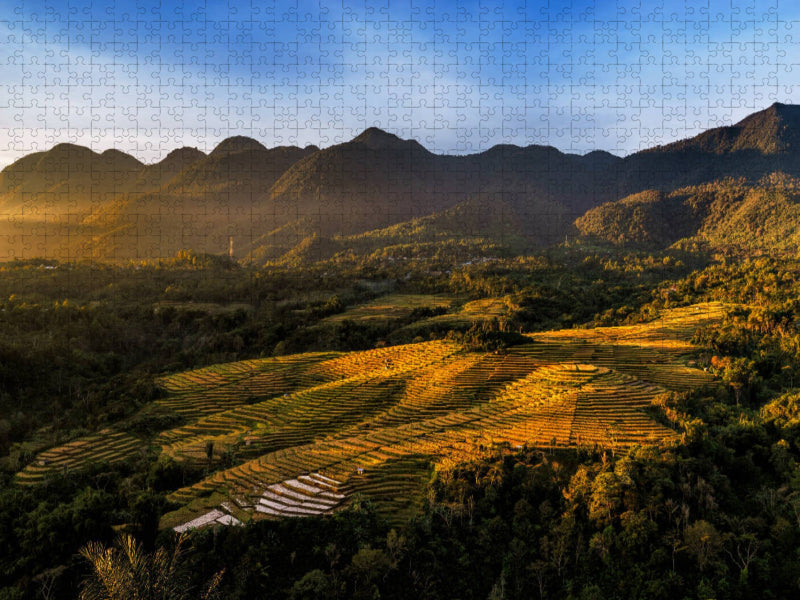 Spinnnenetz Reisfelder auf der Insel Flores in Indonesien - CALVENDO Foto-Puzzle'