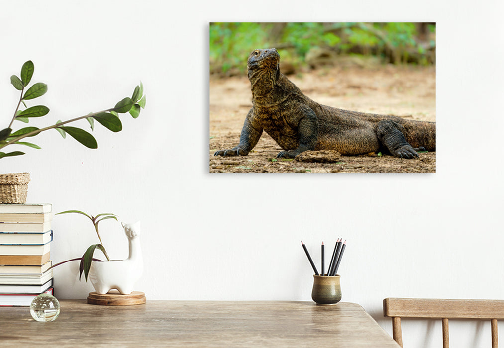 Premium Textil-Leinwand Premium Textil-Leinwand 120 cm x 80 cm quer Komodowaran - Varanus komodoensis - aus Indonesien