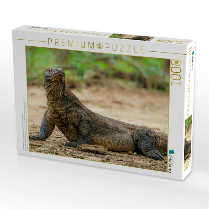 Komodowaran - Varanus komodoensis - aus Indonesien - CALVENDO Foto-Puzzle'