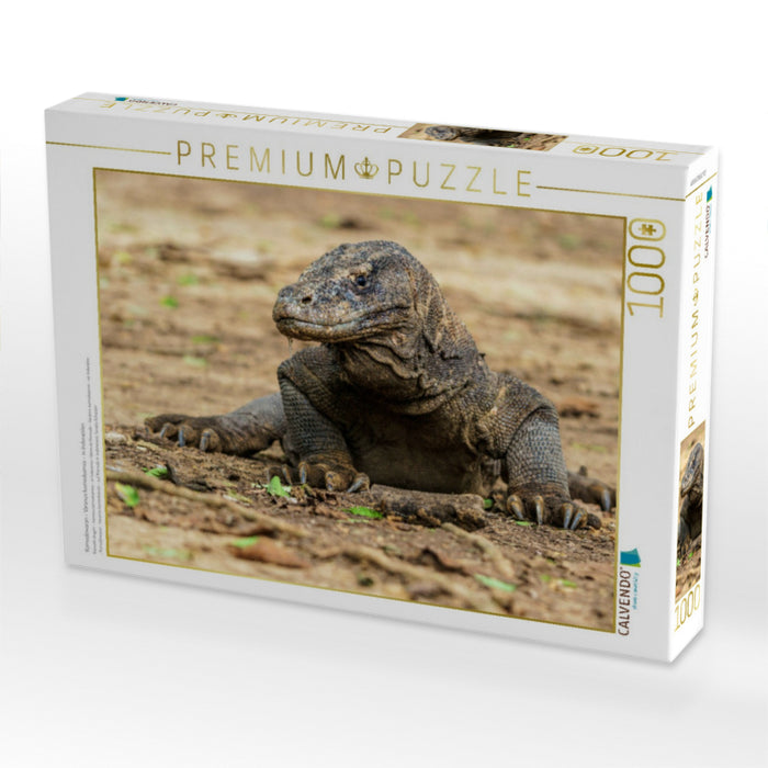 Komodowaran - Varanus komodoensis - in Indonesien - CALVENDO Foto-Puzzle'
