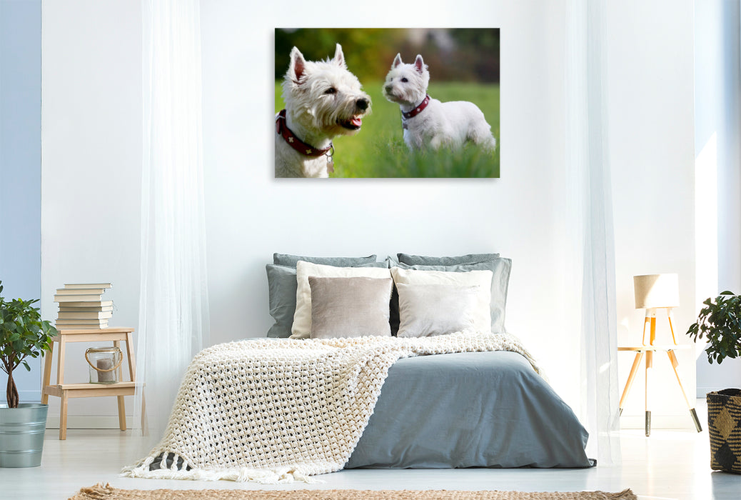 Premium Textil-Leinwand Premium Textil-Leinwand 120 cm x 80 cm quer West Highland White Terrier