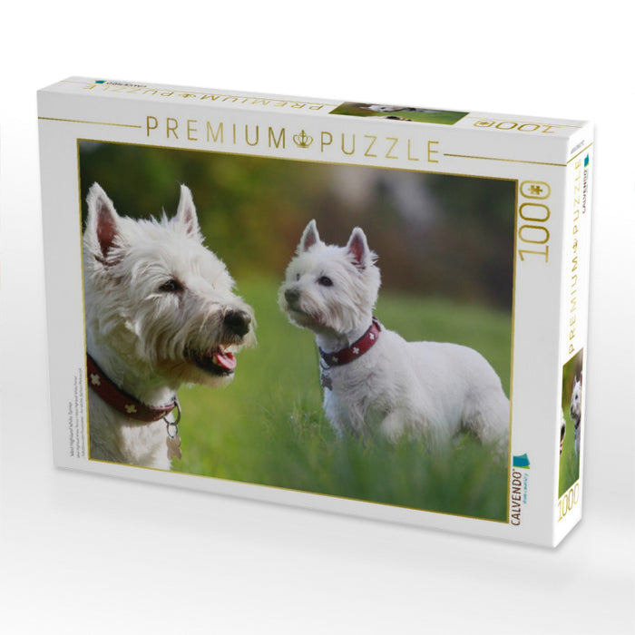 West Highland White Terrier - CALVENDO Foto-Puzzle'