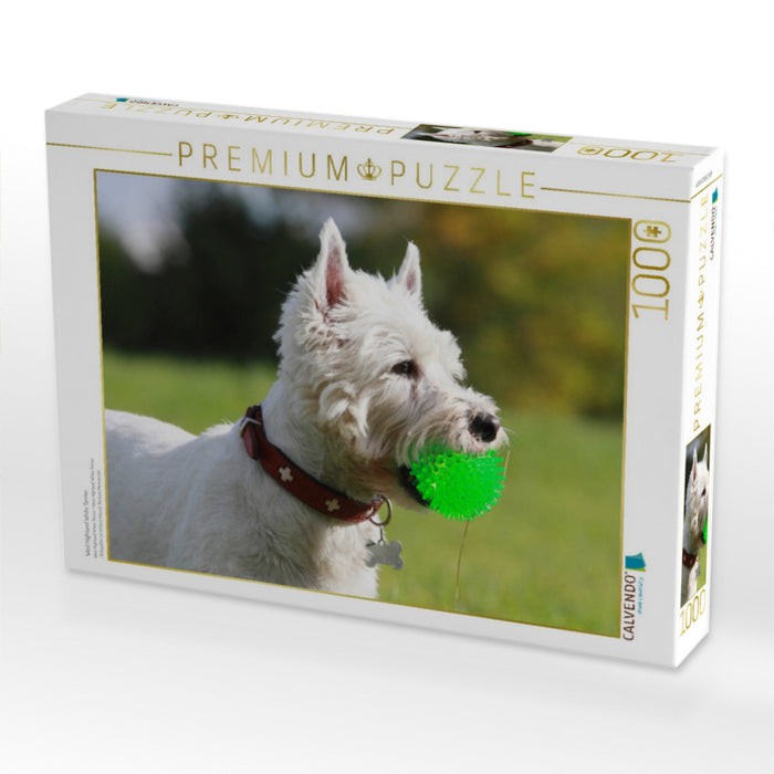 West Highland White Terrier - CALVENDO Foto-Puzzle'