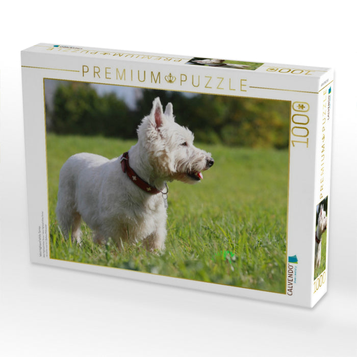 West Highland White Terrier - CALVENDO Foto-Puzzle'