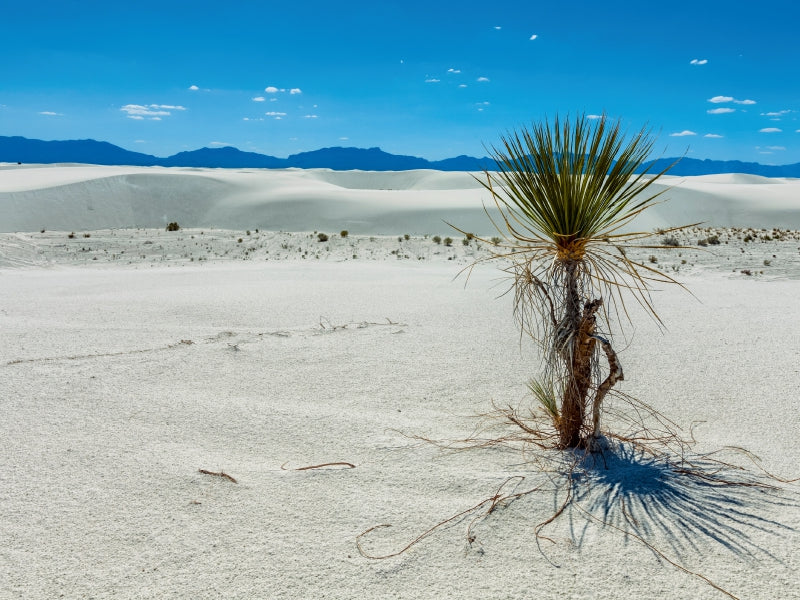 White Sands National Monument, New Mexiko 1000 Teile Puzzle quer - CALVENDO Foto-Puzzle'