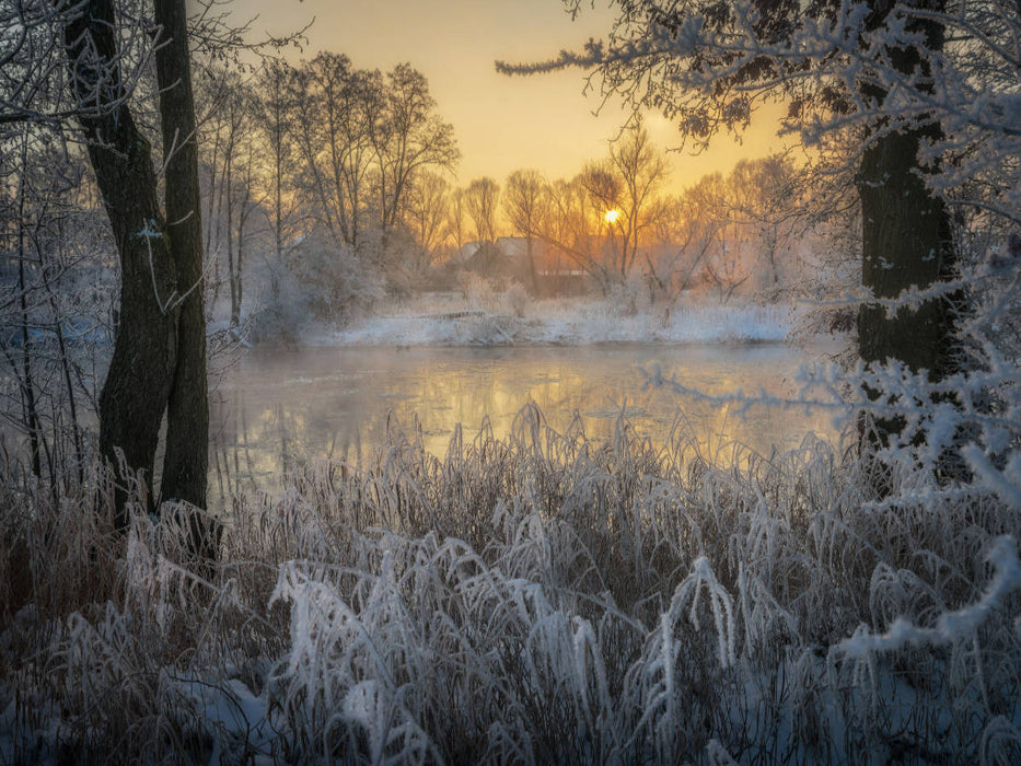 Willkommen Sonne - CALVENDO Foto-Puzzle'