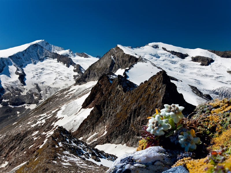 Ein Motiv aus dem Kalender Der Großvenediger 3666m 1000 Teile Puzzle quer - CALVENDO Foto-Puzzle'