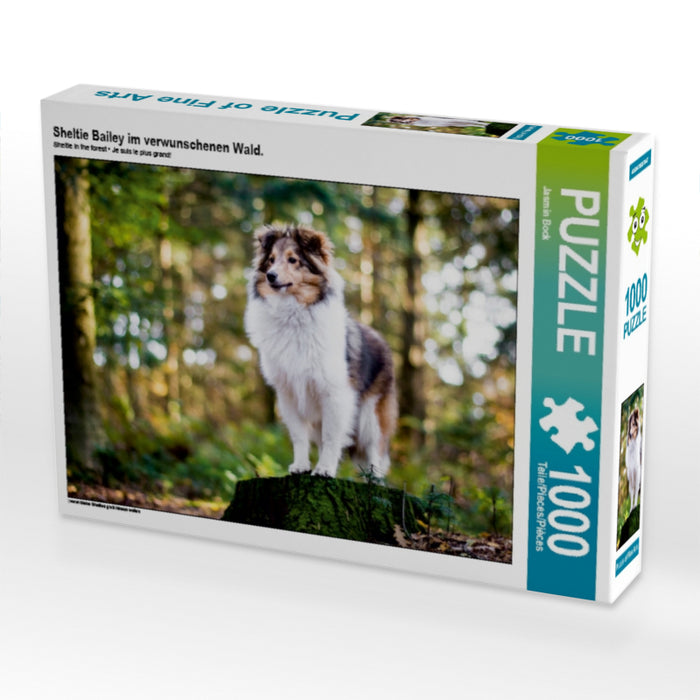 Sheltie Bailey im verwunschenen Wald. 1000 Teile Puzzle quer - CALVENDO Foto-Puzzle'