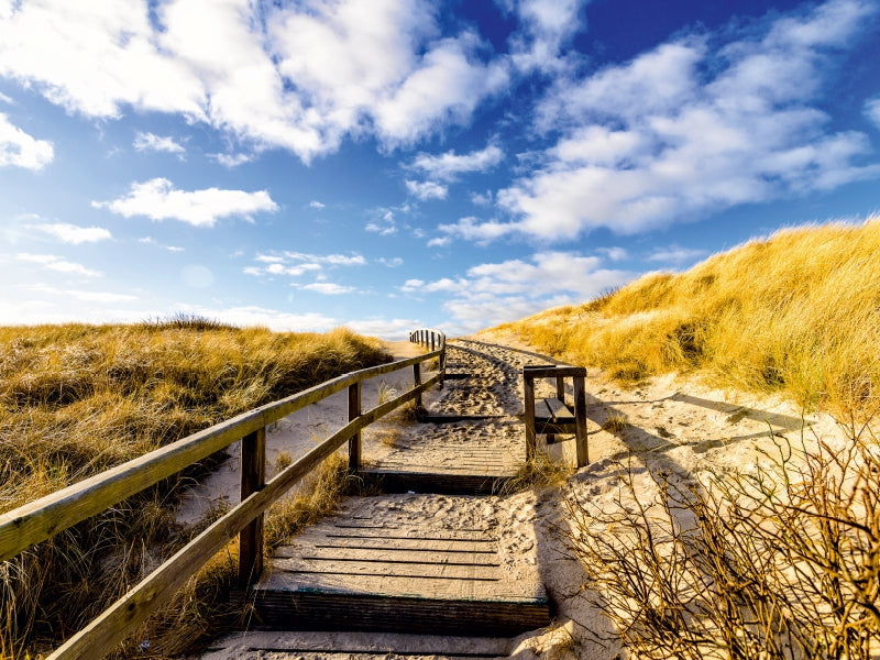 Weg durch die Dünen zum Meer 1000 Teile Puzzle quer - CALVENDO Foto-Puzzle'