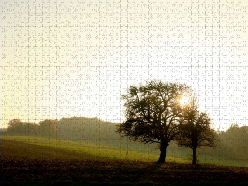 Apfelbäume im Odenwald 1000 Teile Puzzle quer - CALVENDO Foto-Puzzle'