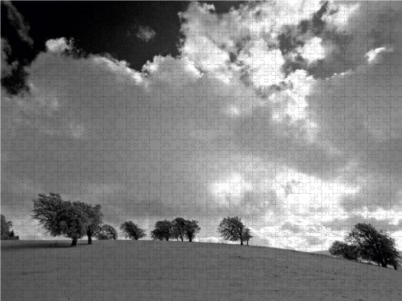 Wetterbuchen am Schauinsland bei Freiburg 1000 Teile Puzzle quer - CALVENDO Foto-Puzzle'