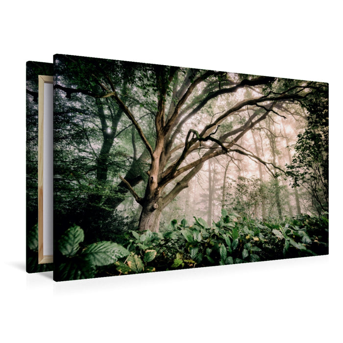 Premium Textil-Leinwand Märchenwald
