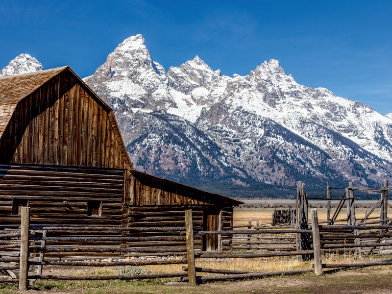 Mormon Row - Grand Teton 1000 Teile Puzzle quer - CALVENDO Foto-Puzzle'