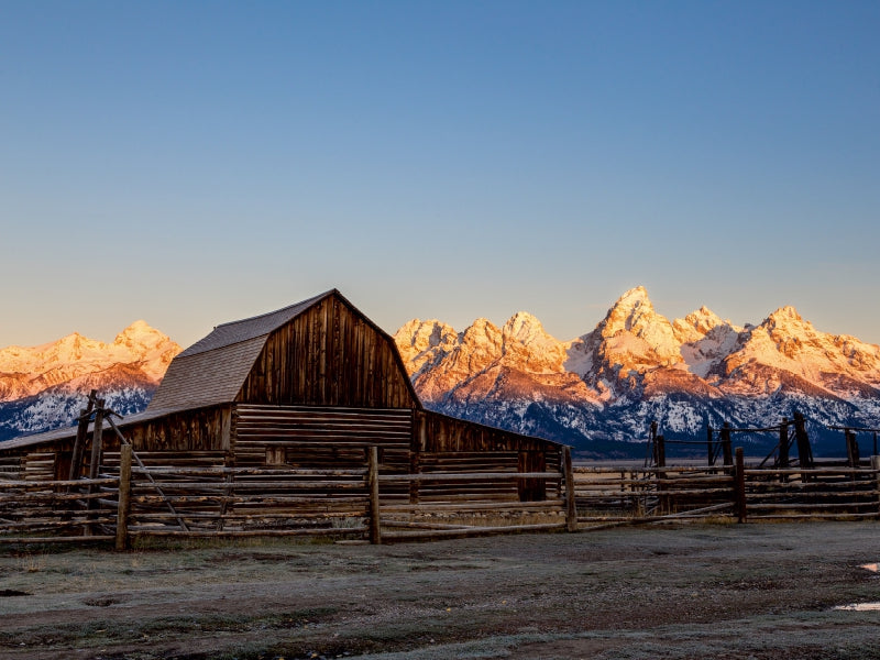 Mormon Row Sunrise 1000 Teile Puzzle quer - CALVENDO Foto-Puzzle'