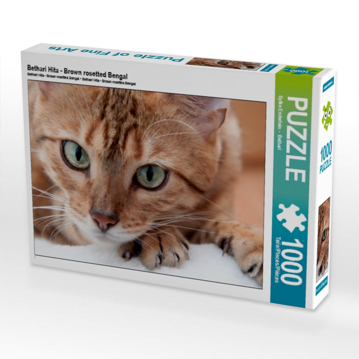 Bethari Hita - Brown rosetted Bengal 1000 Teile Puzzle quer - CALVENDO Foto-Puzzle'