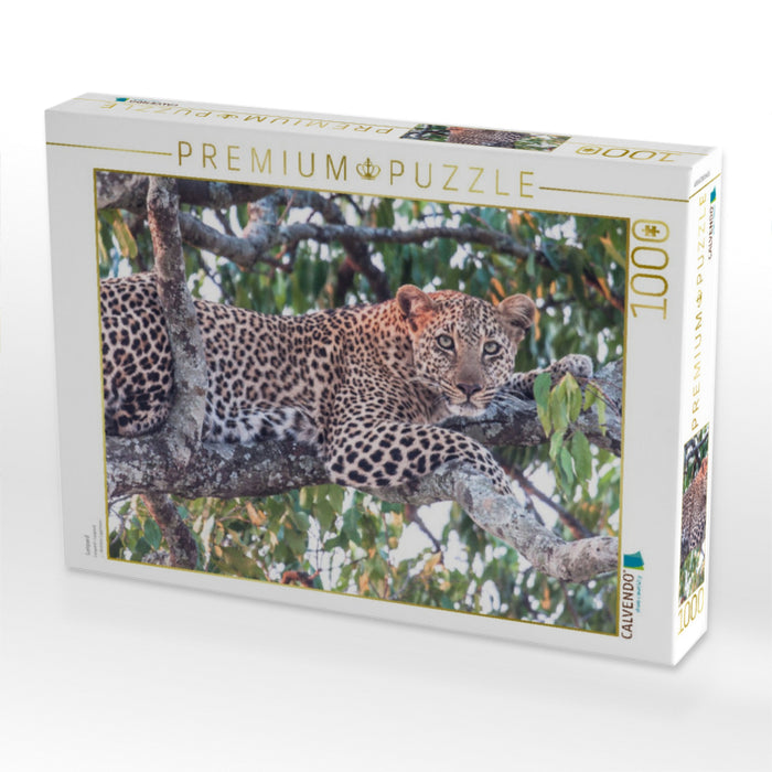 Leopard - CALVENDO Foto-Puzzle'