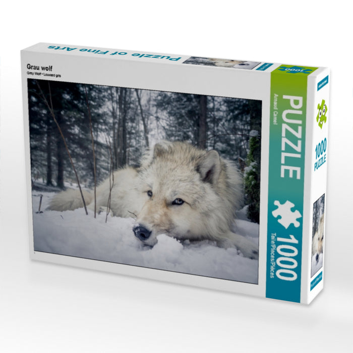 Gray wolf - CALVENDO photo puzzle 