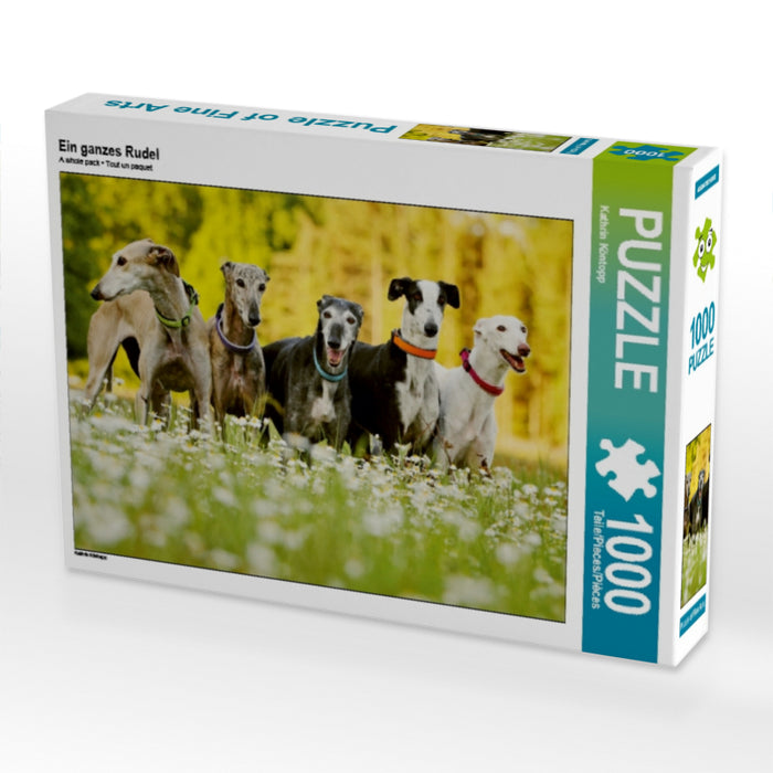 Ein ganzes Rudel 1000 Teile Puzzle quer - CALVENDO Foto-Puzzle'