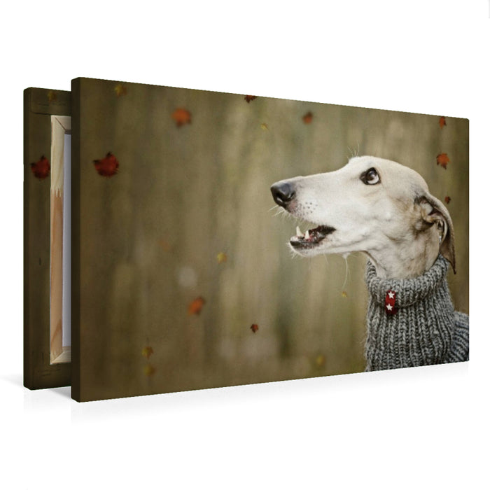 Premium Textil-Leinwand Herbststurm