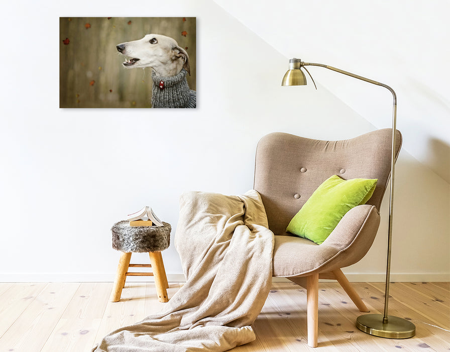 Premium Textil-Leinwand Herbststurm