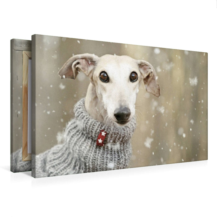 Premium Textil-Leinwand Es schneit