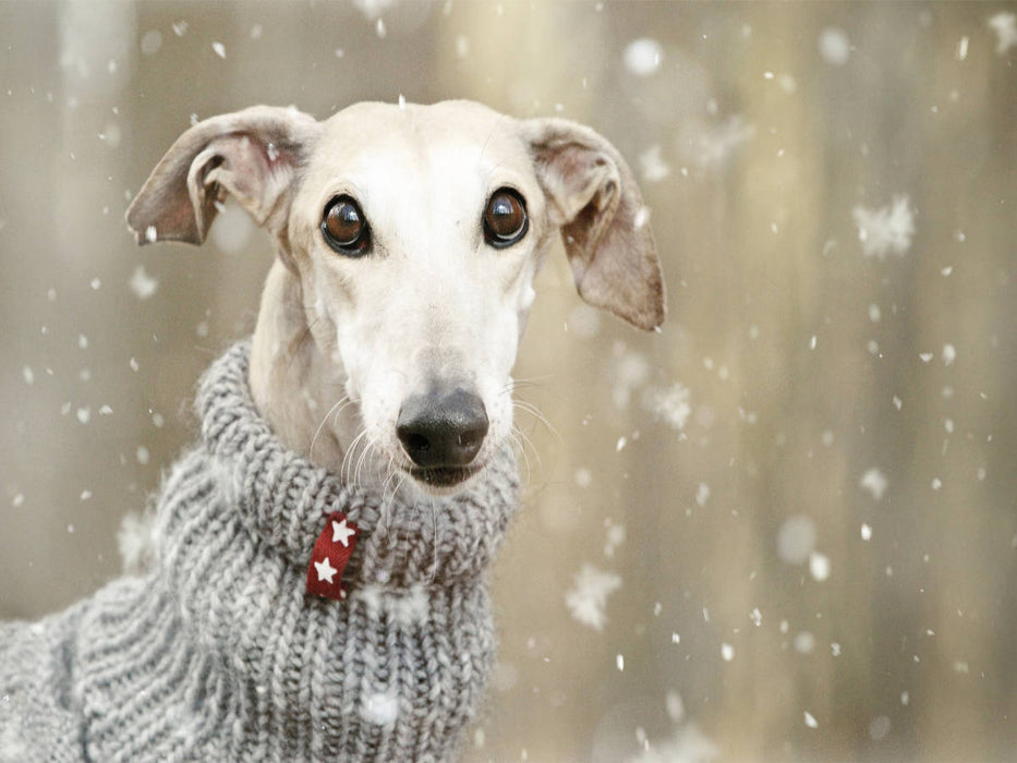 Es schneit - CALVENDO Foto-Puzzle'