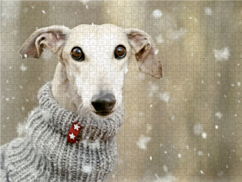 It's snowing - CALVENDO photo puzzle 