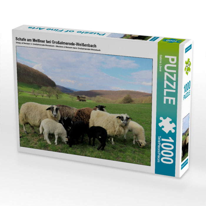 Schafe am Meißner bei Großalmerode-Weißenbach 1000 Teile Puzzle quer - CALVENDO Foto-Puzzle'