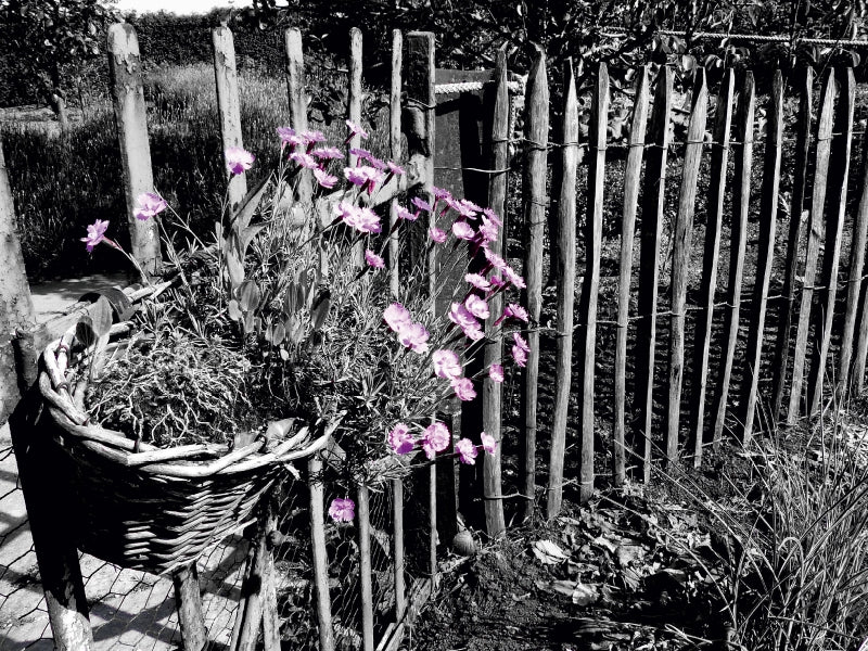 In einem alten Bauerngarten 1000 Teile Puzzle quer - CALVENDO Foto-Puzzle'
