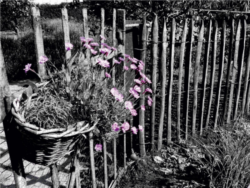 In einem alten Bauerngarten 1000 Teile Puzzle quer - CALVENDO Foto-Puzzle'