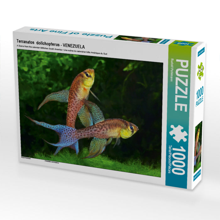 Terranatos  dolichopterus - VENEZUELA 1000 Teile Puzzle quer - CALVENDO Foto-Puzzle'