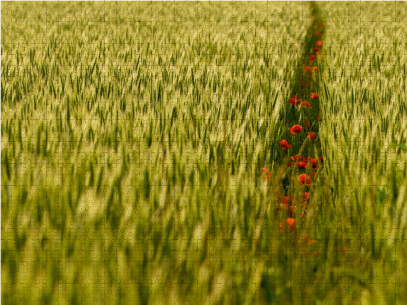 Ein Motiv aus dem Kalender Kalender für Rentner 1000 Teile Puzzle quer - CALVENDO Foto-Puzzle'