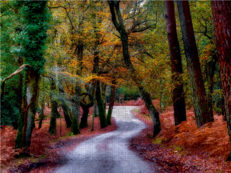 Herbstspaziergang 1000 Teile Puzzle quer - CALVENDO Foto-Puzzle'