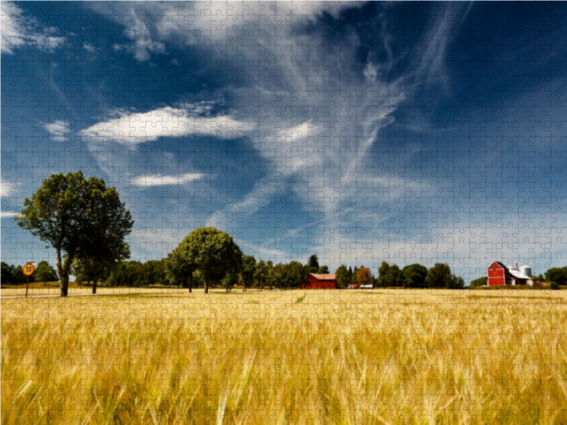 Kornfelder - ein vertrauter Anblick in Südschweden 1000 Teile Puzzle quer - CALVENDO Foto-Puzzle'