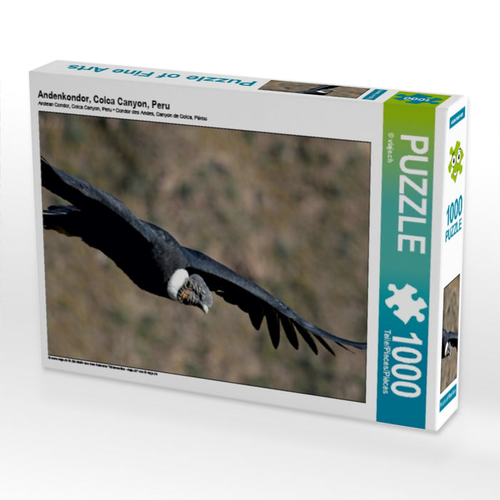 Andenkondor, Colca Canyon, Peru 1000 Teile Puzzle quer - CALVENDO Foto-Puzzle'