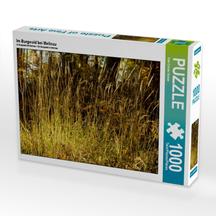 Im Burgwald bei Mellnau 1000 Teile Puzzle quer - CALVENDO Foto-Puzzle'