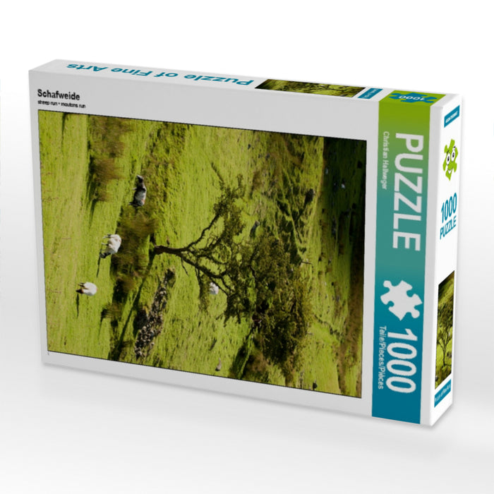 Schafweide 1000 Teile Puzzle hoch - CALVENDO Foto-Puzzle'