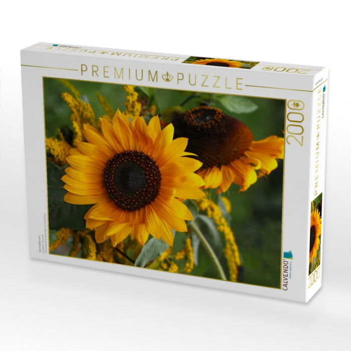 Sonnenblumen - CALVENDO Foto-Puzzle'