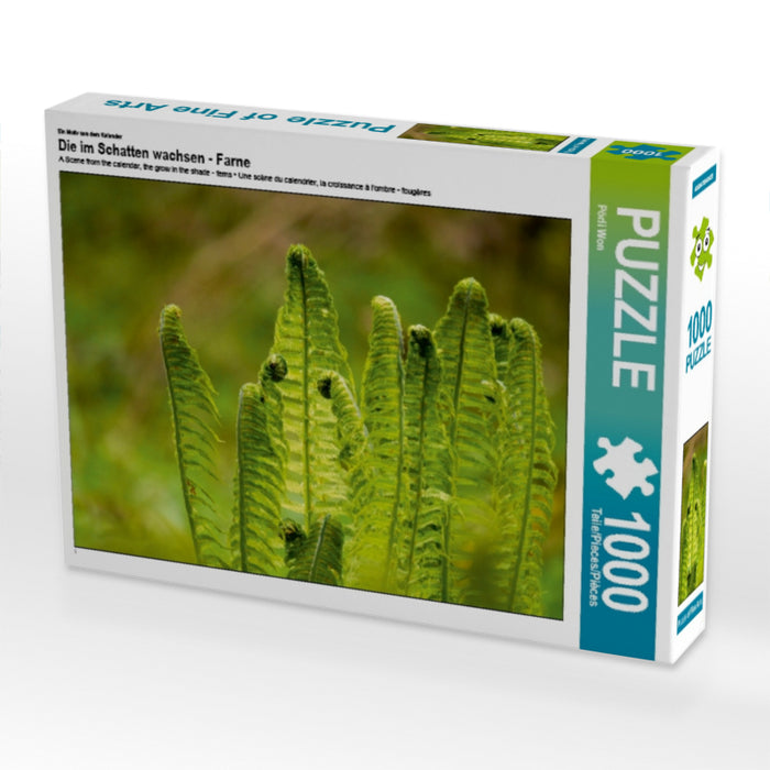 Ein Motiv aus dem Kalender Die im Schatten wachsen - Farne 1000 Teile Puzzle quer - CALVENDO Foto-Puzzle'