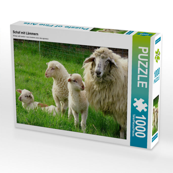 Schaf mit Lämmern 2000 Teile Puzzle quer - CALVENDO Foto-Puzzle'